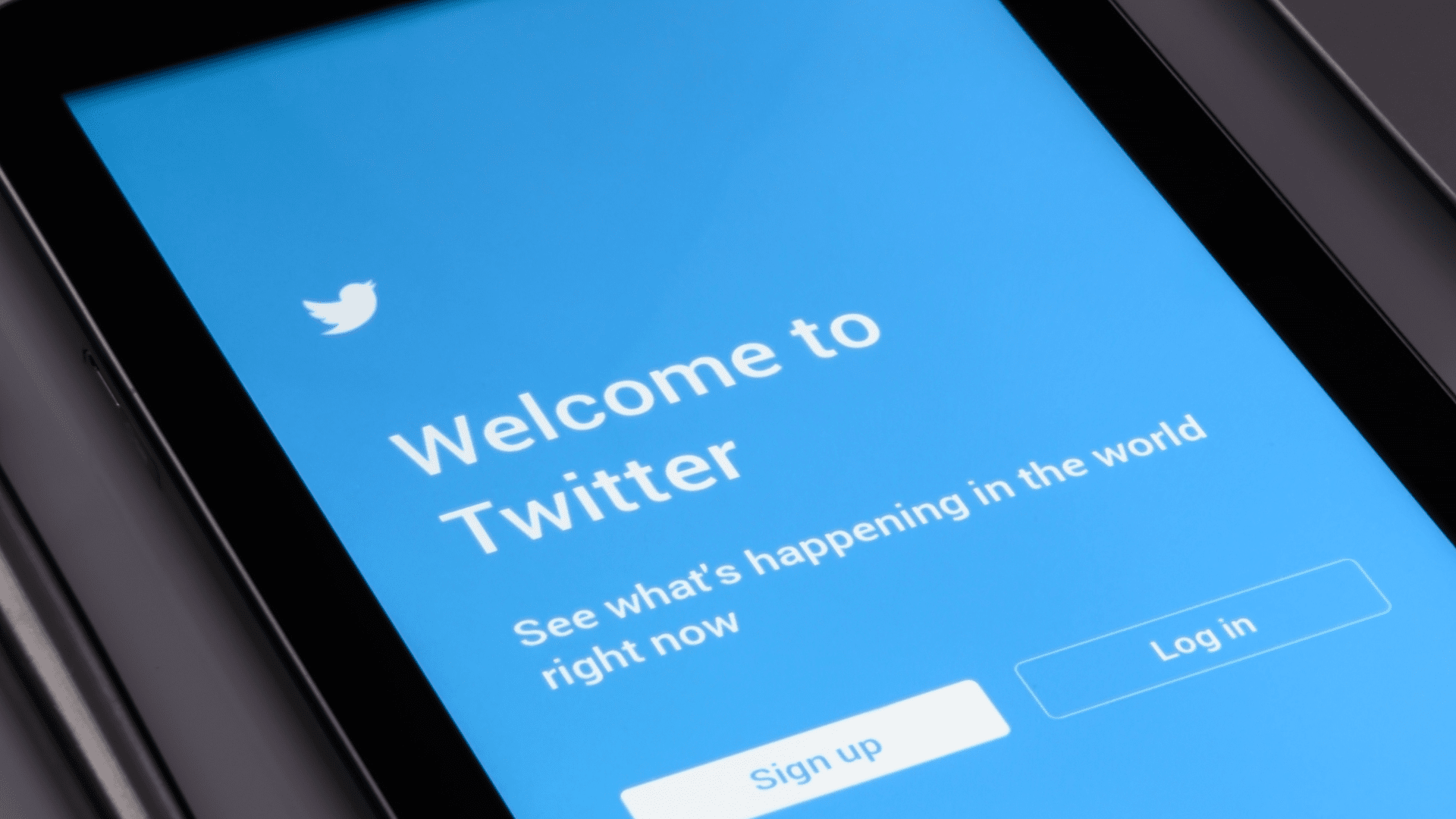 Milliarden-Deal: Elon Musk will Twitter nun doch kaufen