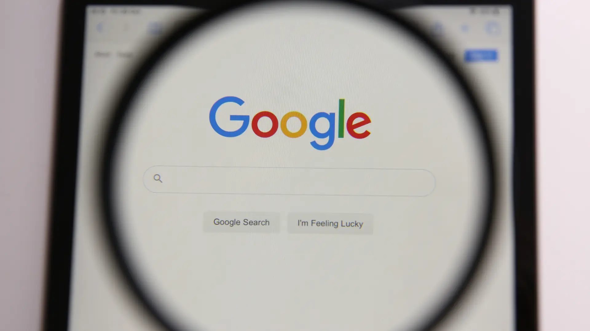 So Beeinflusst das Google August Update Ihr Digital Business: Wichtige Insights und Tipps