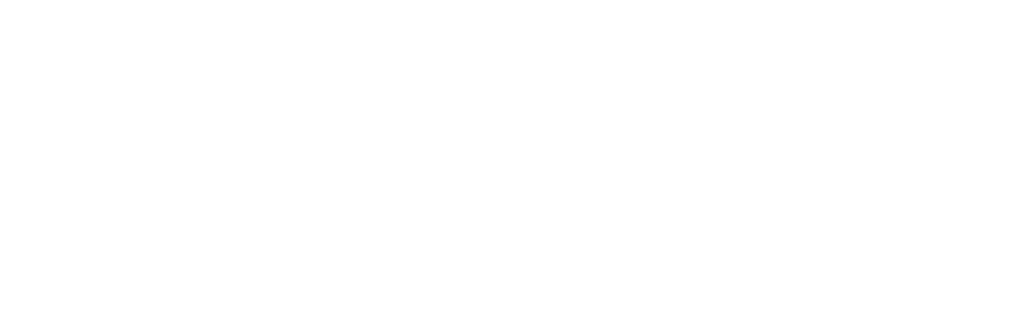 Feldmann media group AG