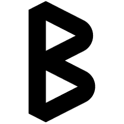 BLYNK GmbH & Co KG Logo