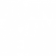 Brand Activation Logo